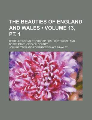 Book cover for The Beauties of England and Wales (Volume 13, PT. 1); Or Delineations, Topographical, Historical, and Descriptive, of Each County