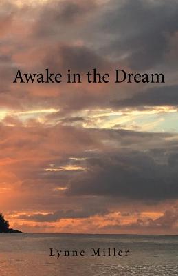 Book cover for Awake in the Dream