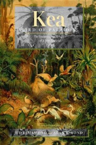 Cover of Kea, Bird of Paradox