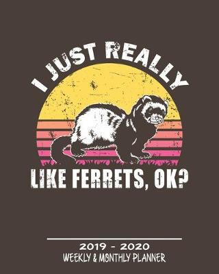 Book cover for I Just Really Like Ferret, Ok? 2019 - 2020 Weekly & Monthly Planner