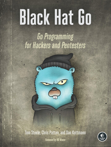 Book cover for Black Hat Go