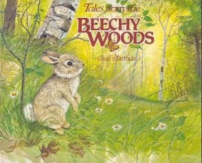 Book cover for Tales from the Beechy Woods (Fluff's Birthday)
