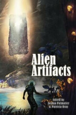Cover of Alien Artifacts