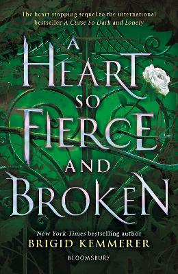 Book cover for A Heart So Fierce and Broken