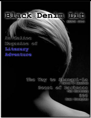 Book cover for Black Denim Lit v1 #2 March, 2014