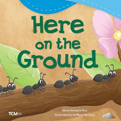 Book cover for Here on the Ground