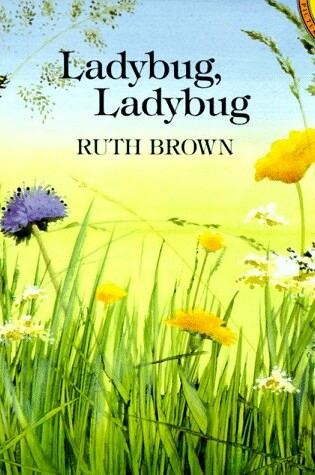 Cover of Brown Ruth : Ladybug, Ladybug (Pbk)