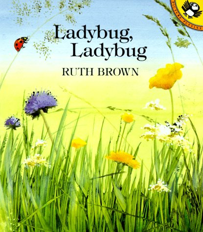 Cover of Brown Ruth : Ladybug, Ladybug (Pbk)