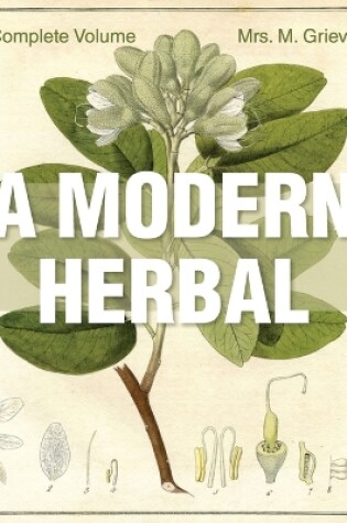 Cover of A Modern Herbal