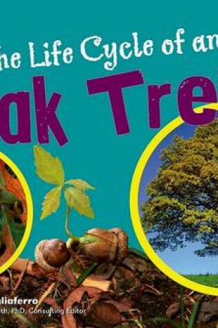 Cover of The Life Cycle of an Oak Tree
