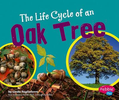 Book cover for The Life Cycle of an Oak Tree