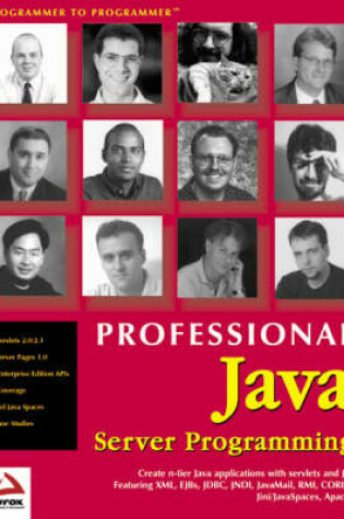 Cover of Professional Java Server Programming