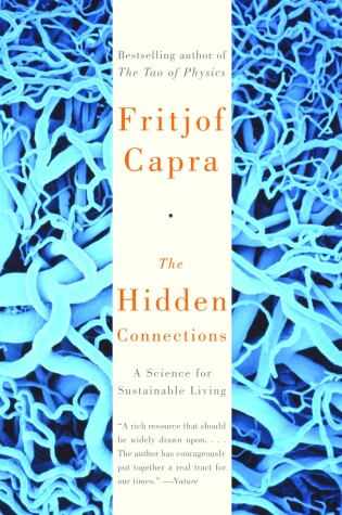 Cover of The Hidden Connections