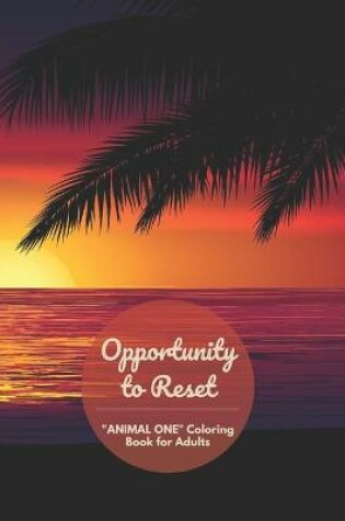 Cover of Opportunity to Reset