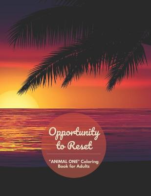 Book cover for Opportunity to Reset