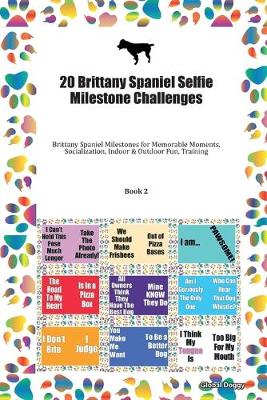 Book cover for 20 Brittany Spaniel Selfie Milestone Challenges