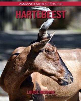 Book cover for Hartebeest