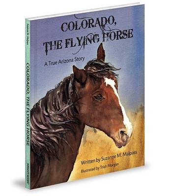 Book cover for Colorado, the Flying Horse