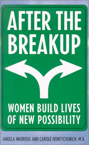 Book cover for After the Breakup