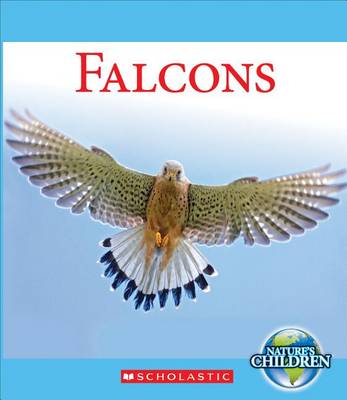 Book cover for Falcons