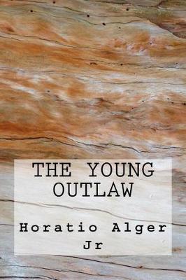 Book cover for The Young Outlaw