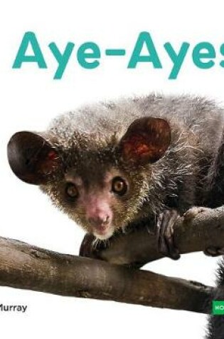 Cover of Aye-Ayes