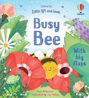 Book cover for Little Lift and Look Busy Bee