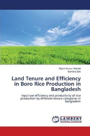 Cover of Land Tenure and Efficiency in Boro Rice Production in Bangladesh