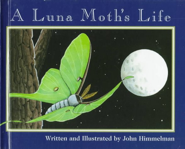 Cover of A Luna Moth's Life