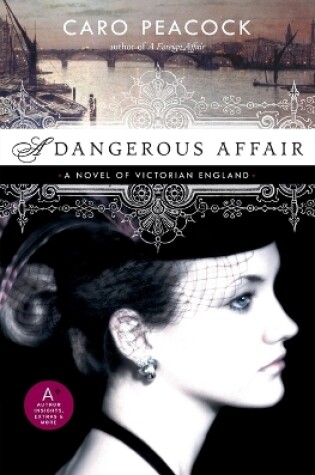 Cover of A Dangerous Affair