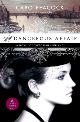 Book cover for A Dangerous Affair