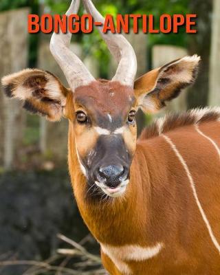 Book cover for Bongo-Antilope