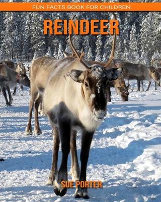 Book cover for Reindeer