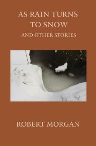 Cover of As Rain Turns to Snow and Other Stories