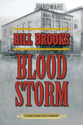 Cover of Blood Storm