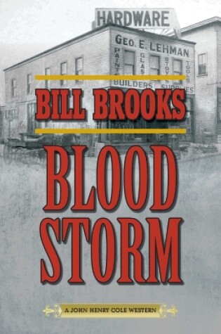 Cover of Blood Storm