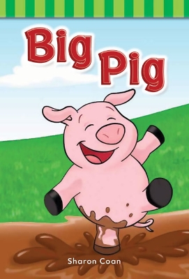 Book cover for Big Pig