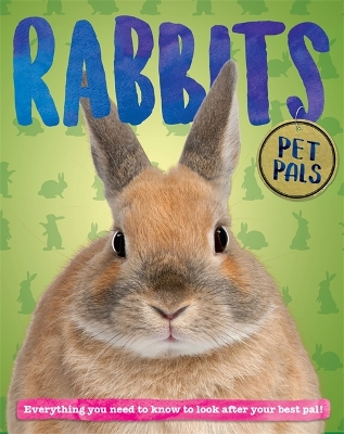 Book cover for Pet Pals: Rabbit