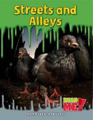 Cover of Streets and Alleys