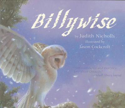 Book cover for Billywise