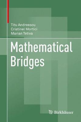 Book cover for Mathematical Bridges