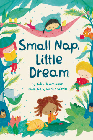 Cover of Small Nap, Little Dream