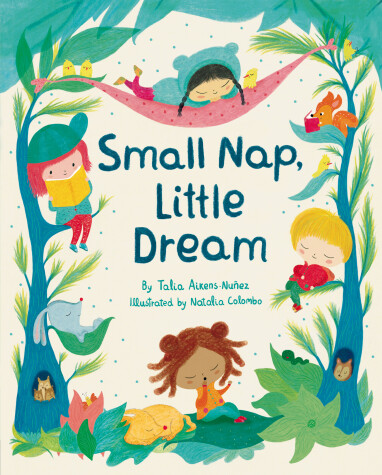 Book cover for Small Nap, Little Dream