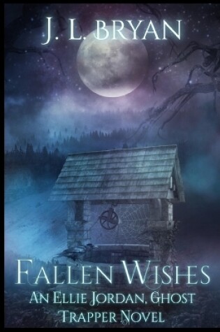 Cover of Fallen Wishes