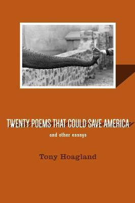 Book cover for Twenty Poems That Could Save America And Other Essays