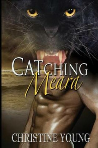 Cover of Catching Meara