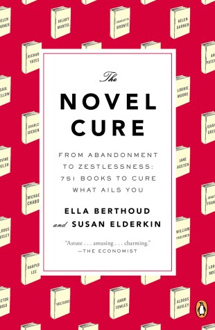 Book cover for The Novel Cure