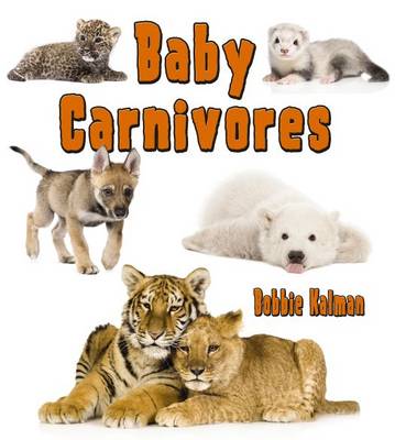Book cover for Baby Carnivores