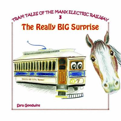 Book cover for The Really Big Surprise