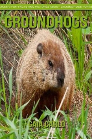 Cover of Groundhogs